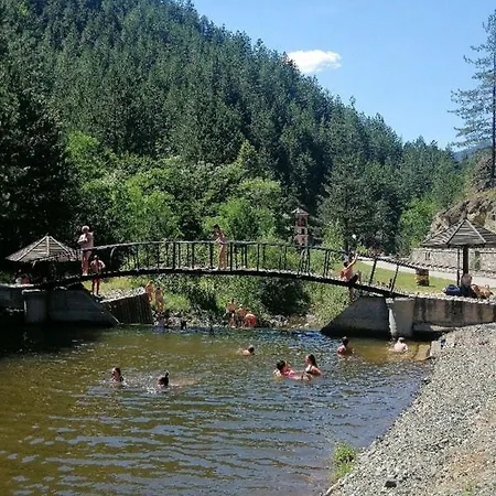Etnomania * Mokra Gora